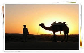 Sun Set view by Camel Safari at Jaisalmer