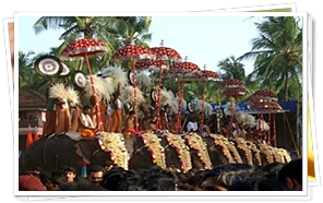 Elephant Festivlal, Thrissur, Kerala