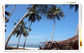  Verkala, Kerala