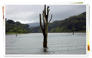 Periyar National Park, Kerala