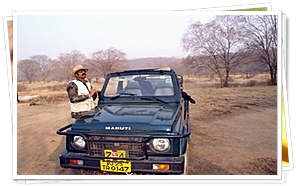 Ranthambore National